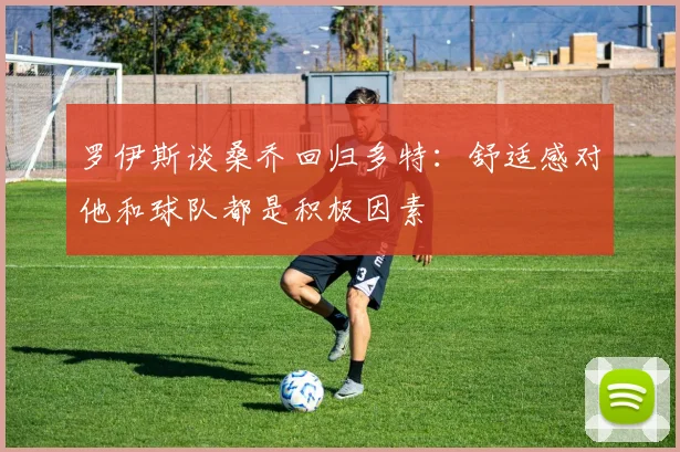 罗伊斯谈桑乔回归多特：舒适感对他和球队都是积极因素